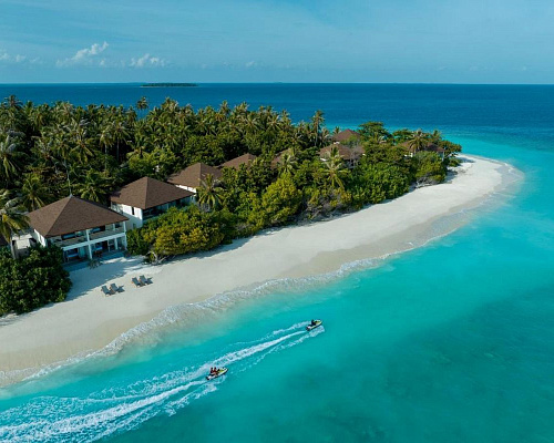 Avani+ Fares Maldives Resort фото 0