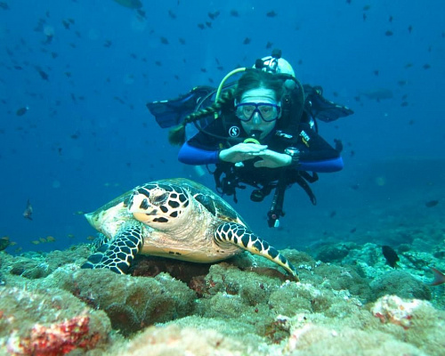 Vaali Beach & Dive Lodge Maldives фото 16