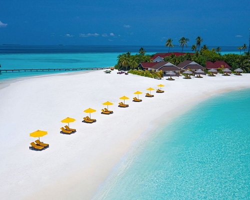 Dhigufaru Island Resort фото 10