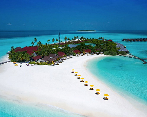 Dhigufaru Island Resort фото 17