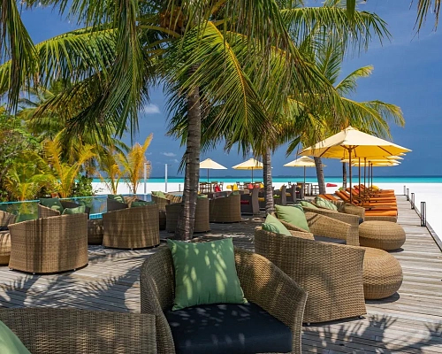 Dhigufaru Island Resort фото 3