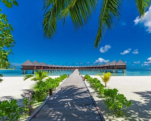Sun Siyam Olhuveli фото 16