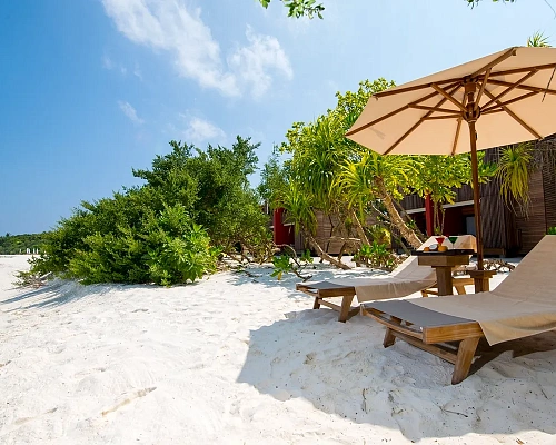 The Barefoot Eco Hotel фото 3