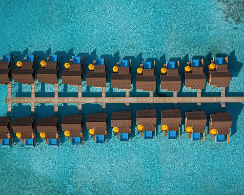 Dhigufaru Island Resort фото 12