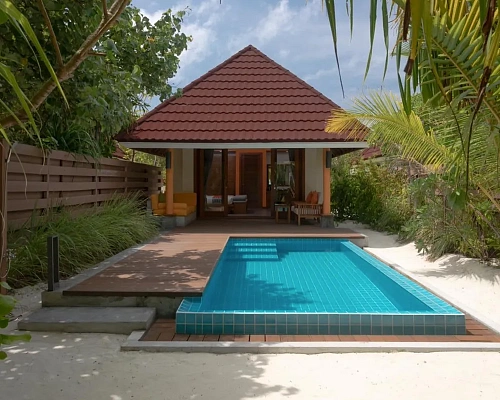 Dhigufaru Island Resort фото 4