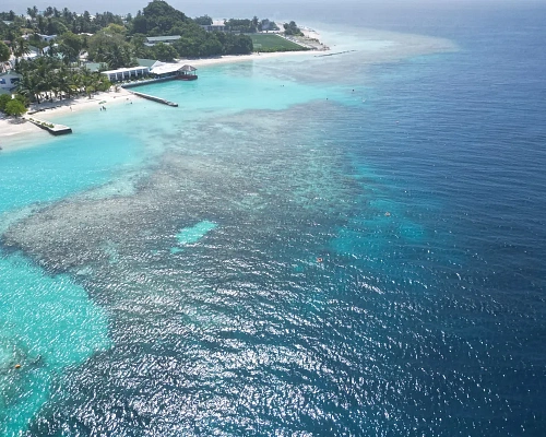 Lagoon View Maldives фото 8