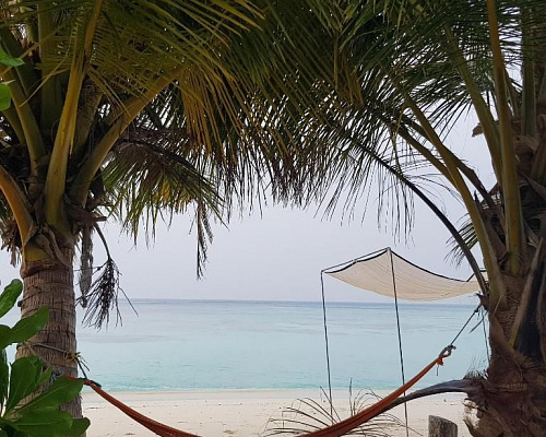 Vaali Beach & Dive Lodge Maldives фото 8