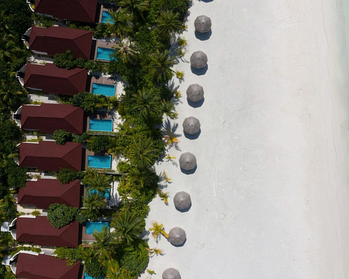Dhigufaru Island Resort фото 11