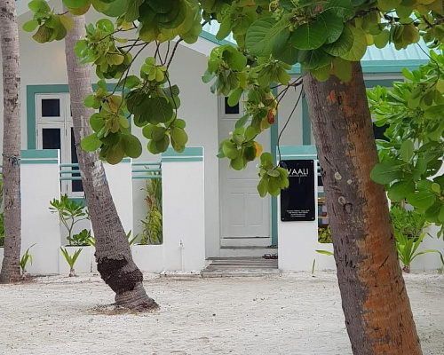 Vaali Beach & Dive Lodge Maldives фото 7