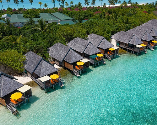 Dhigufaru Island Resort фото 16