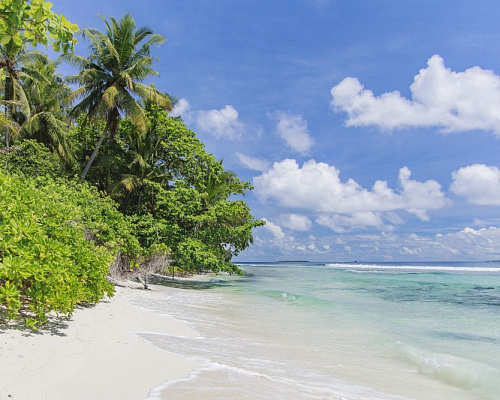 Dhonfulhafi Beach View & Spa фото 33