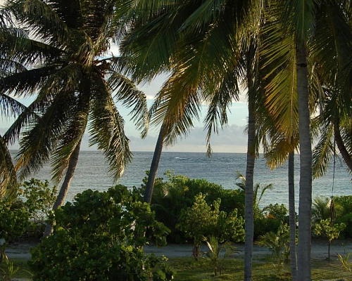 Vaali Beach & Dive Lodge Maldives фото 11