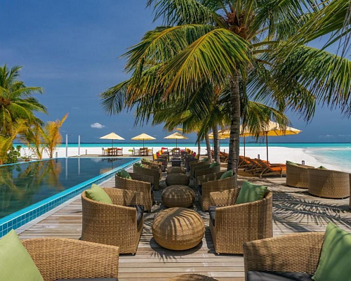 Dhigufaru Island Resort фото 32