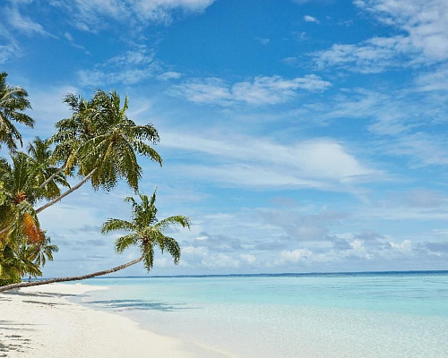 Sun Siyam Vilu Reef фото 37