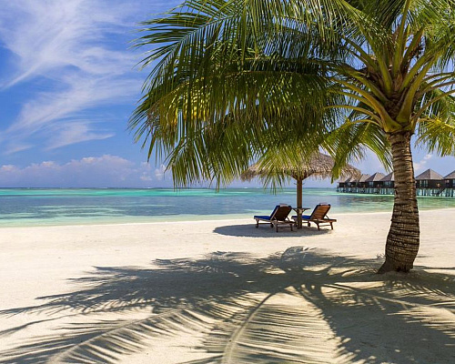 Sun Siyam Olhuveli фото 19